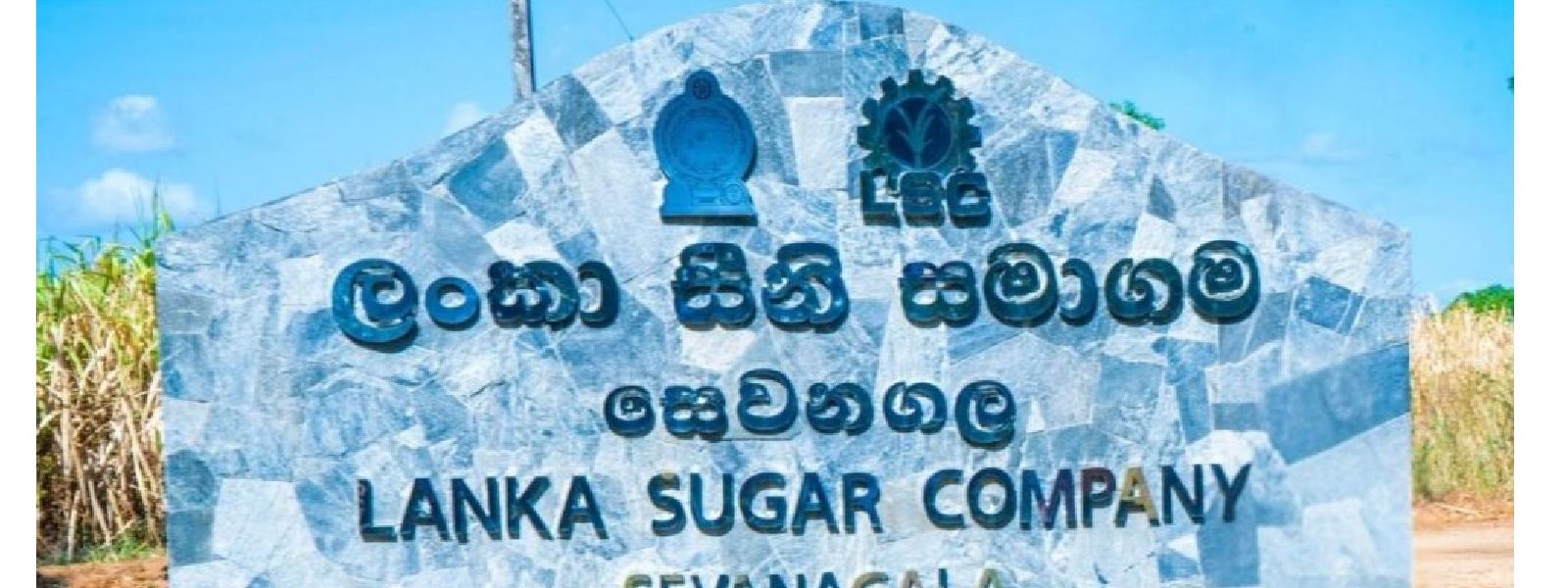 සෙවනගල සීනි කම්හල වැසීම-දිනකට‍ රු.මිලියන30කපාඩුවක්